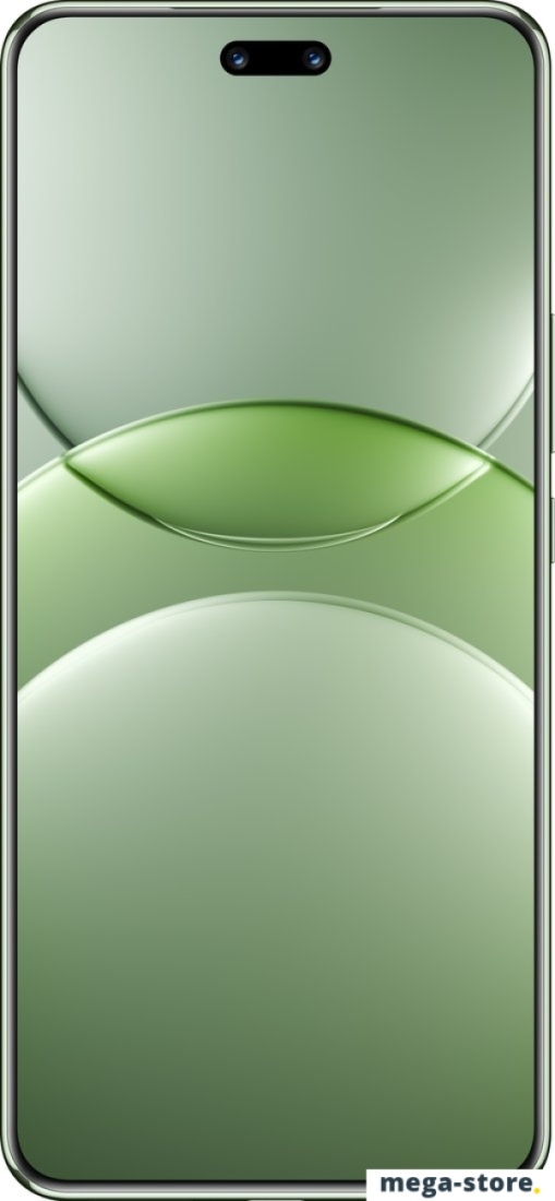 Смартфон Huawei nova 13 Pro MIS-LX9 12GB/256GB (дымчатый зеленый)