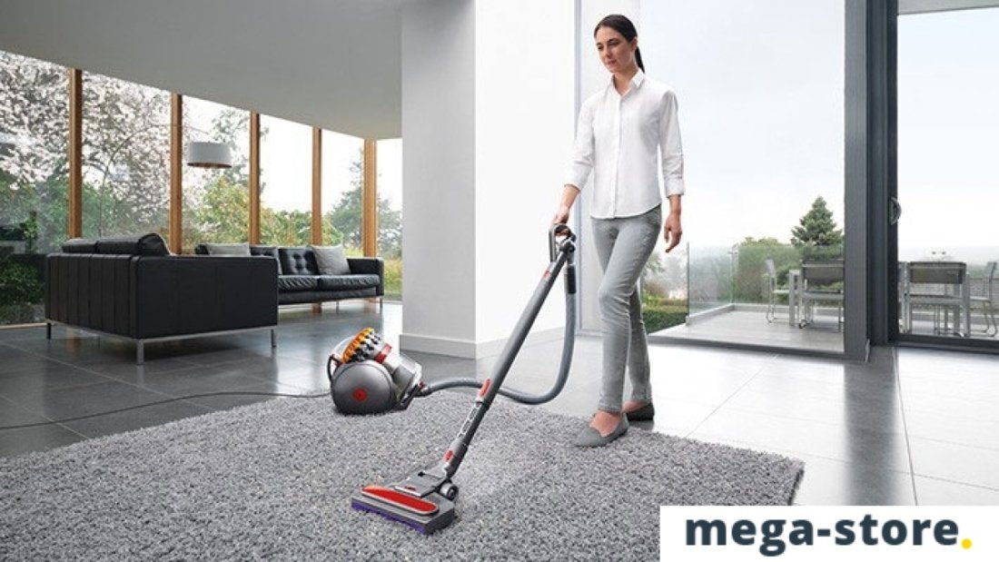 Пылесос Dyson Big Ball Multifloor 2+