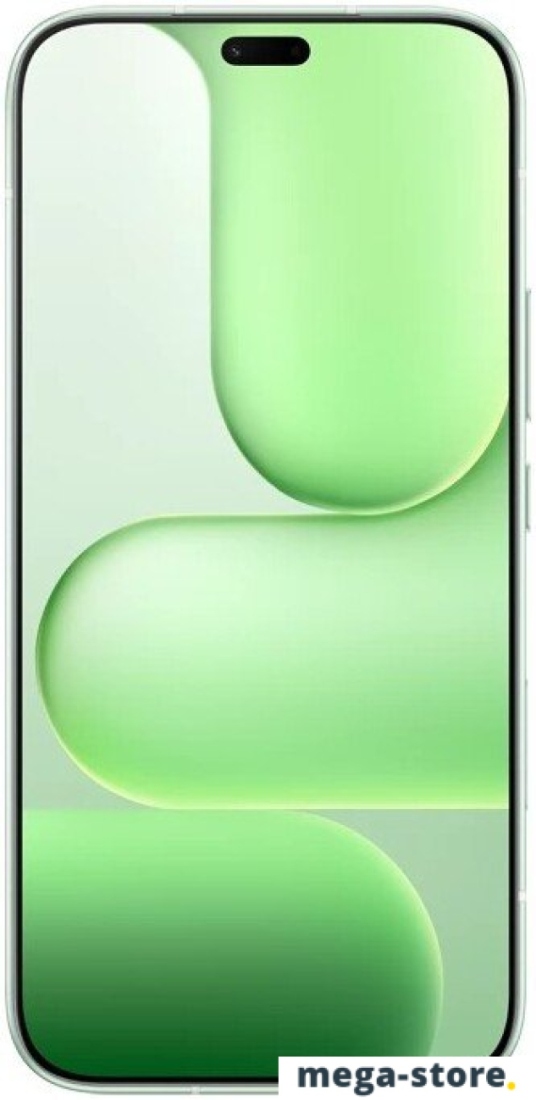 Телефон HONOR 600 Lite eSIM 8GB/128GB международная версия (зеленый)