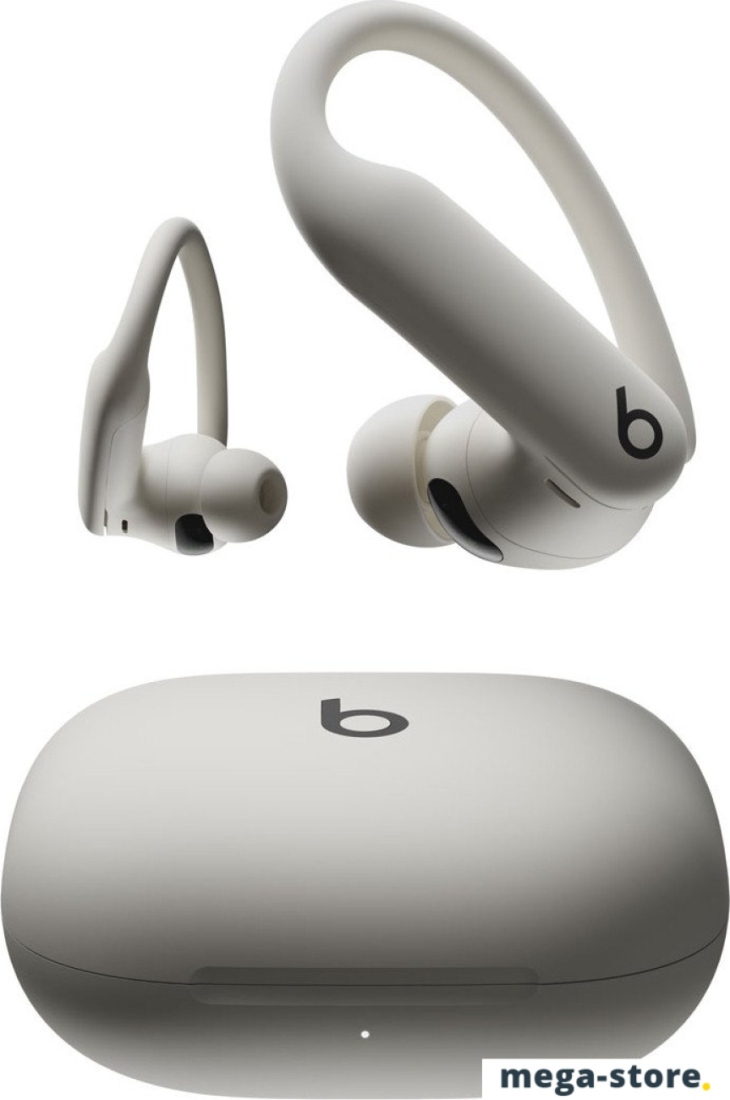 Наушники Beats Powerbeats Pro 2 (серый)