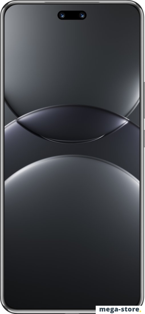 Смартфон Huawei nova 13 Pro MIS-LX9 12GB/256GB (черный)