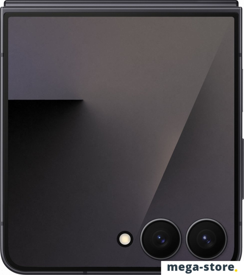 Телефон Samsung Galaxy Z Flip7 SM-F7660 12GB/512GB (черный)