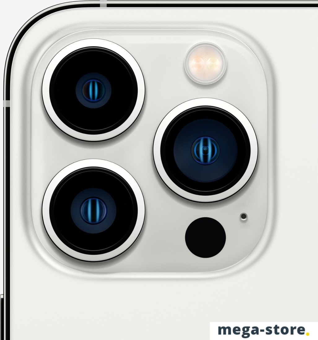 Смартфон Apple iPhone 13 Pro Max 128GB (серебристый)