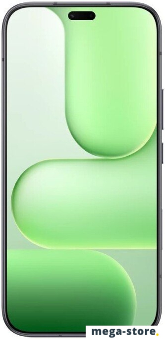 Телефон HONOR 600 Lite eSIM 8GB/256GB международная версия (вельветовый черный)