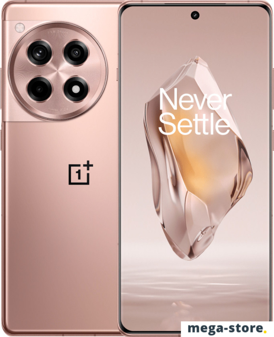 Смартфон OnePlus Ace 3 16GB/1TB китайская версия (бронзовый)