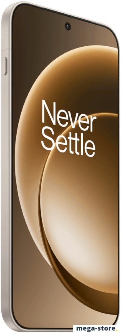 Телефон OnePlus 15 16GB/1TB китайская версия (песчаная дюна)