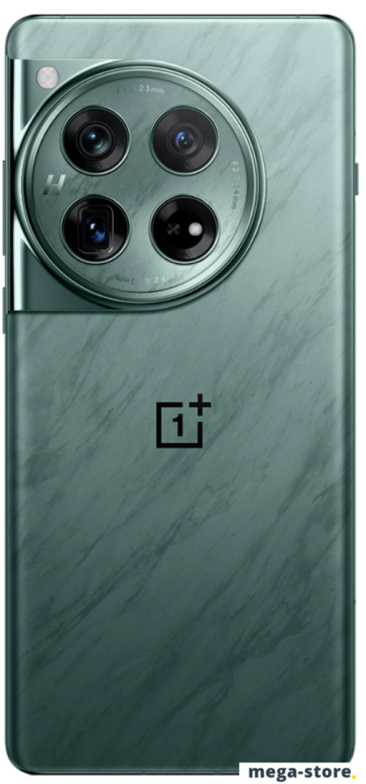 Смартфон OnePlus 12 12GB/256GB китайская версия (зеленый)