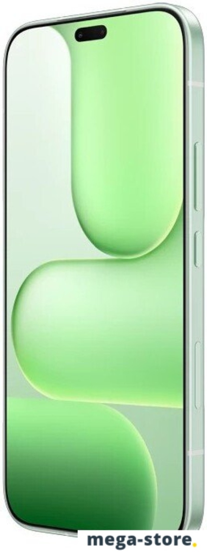 Телефон HONOR 600 Lite eSIM 8GB/128GB международная версия (зеленый)