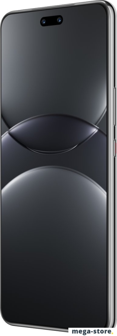 Смартфон Huawei nova 13 Pro MIS-LX9 12GB/256GB (черный)