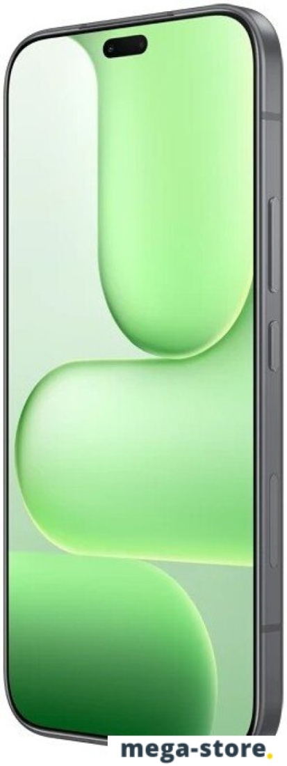 Телефон HONOR 600 Lite 8GB/256GB международная версия (вельветовый черный)