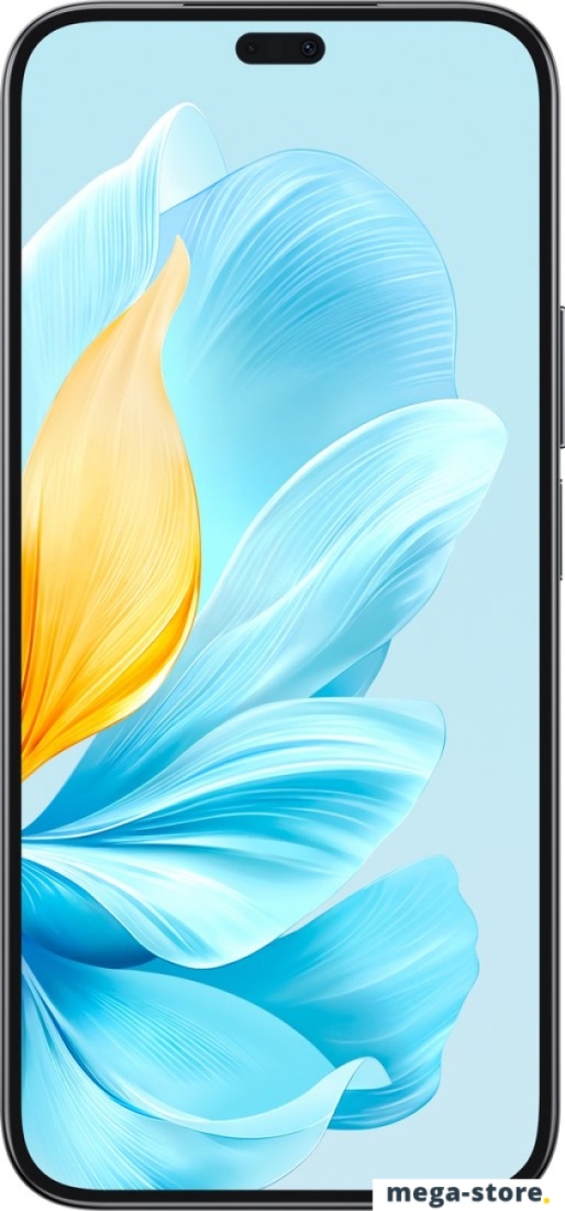 Смартфон HONOR 200 Lite 8GB/256GB международная версия (полночный черный)