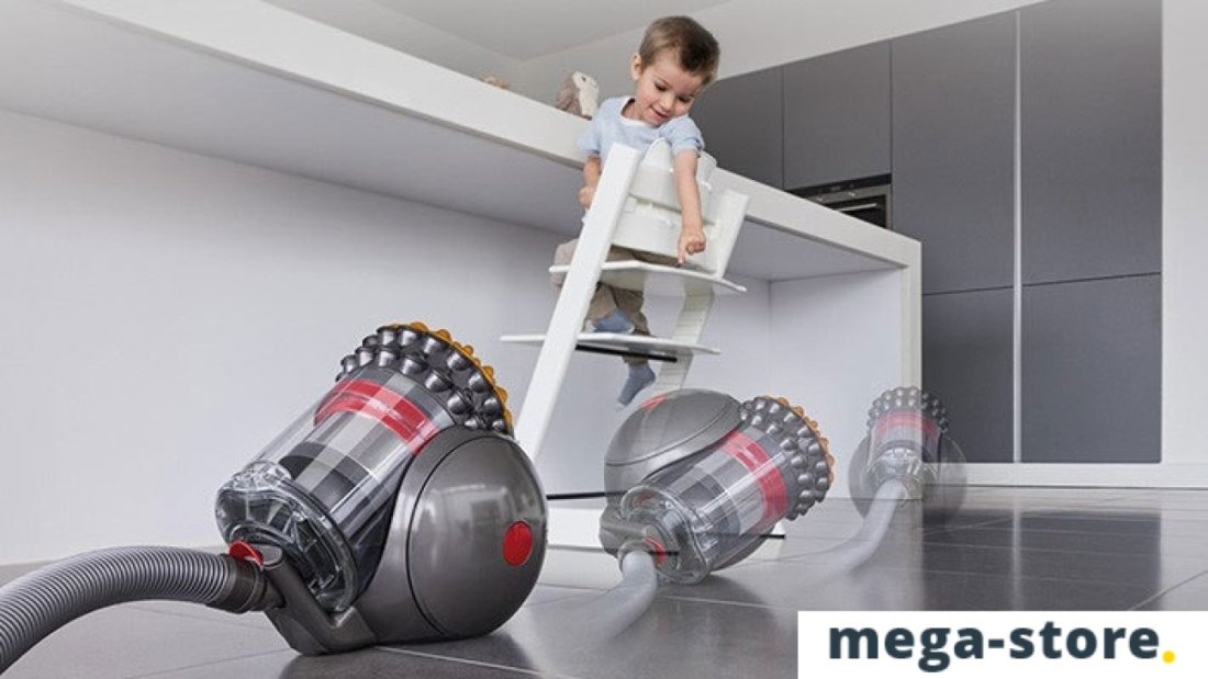 Пылесос Dyson Big Ball Multifloor 2+