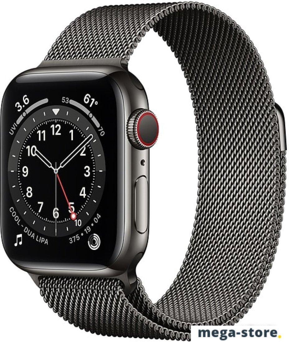 Умные часы Apple Watch Series 6 LTE 40 мм (сталь графитовый/миланский черный)