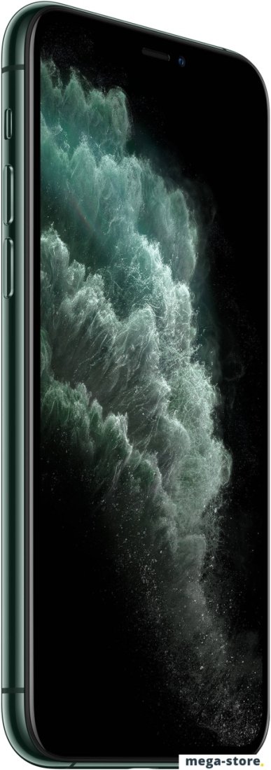 Смартфон Apple iPhone 11 Pro Max 512GB (темно-зеленый)