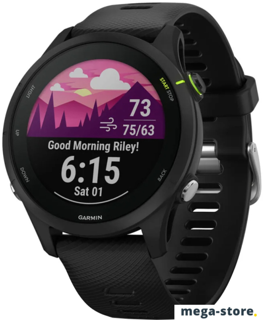 Умные часы Garmin Forerunner 255 Music 46 мм (черный)