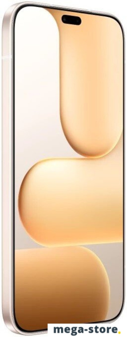 Телефон HONOR 600 Lite 8GB/256GB международная версия (пустынное золото)