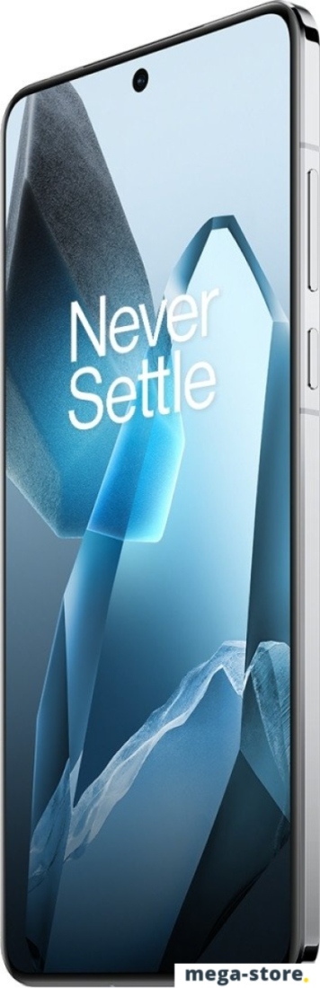 Смартфон OnePlus 13 12GB/256GB международная версия (синий)