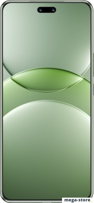 Смартфон Huawei nova 13 Pro MIS-LX9 12GB/256GB (дымчатый зеленый)