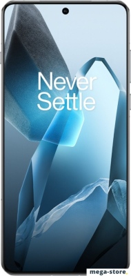 Смартфон OnePlus 13 12GB/256GB международная версия (синий)