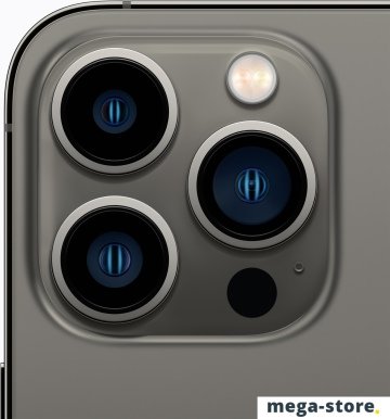 Смартфон Apple iPhone 13 Pro 256GB (графитовый)