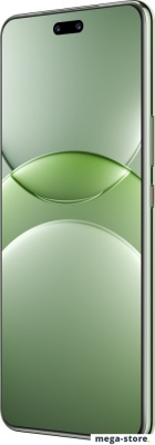 Смартфон Huawei nova 13 Pro MIS-LX9 12GB/256GB (дымчатый зеленый)