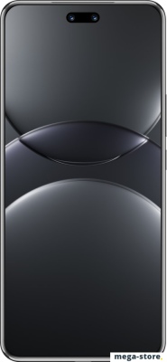 Смартфон Huawei nova 13 Pro MIS-LX9 12GB/256GB (черный)