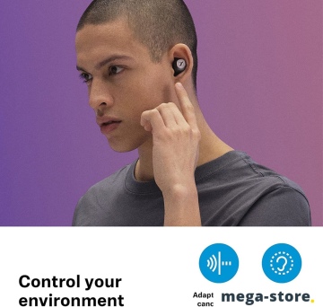 Наушники Sennheiser Momentum True Wireless 3 (черный)