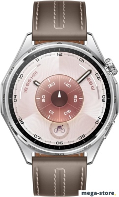 Умные часы Huawei Watch GT 6 46 мм (серебристый, с коричневым кожаным ремешком, международная версия)