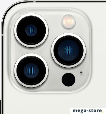 Смартфон Apple iPhone 13 Pro Max 1TB (серебристый)