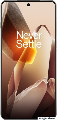 Смартфон OnePlus 13 12GB/256GB международная версия (белый)