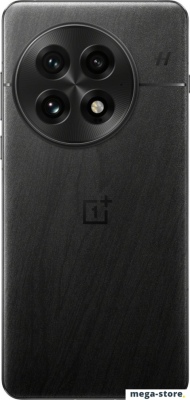 Смартфон OnePlus 13 24GB/1TB китайская версия (обсидиан)