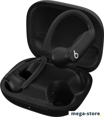 Наушники Beats Powerbeats Pro 2 (черный)
