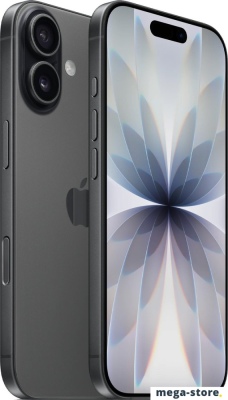 Телефон Apple iPhone 17 Dual SIM 512GB (черный)