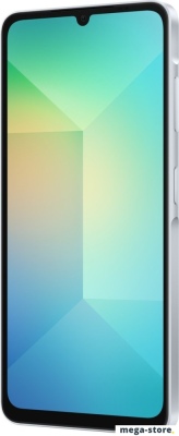 Смартфон Samsung Galaxy A06 SM-A065F 4GB/128GB (голубой)