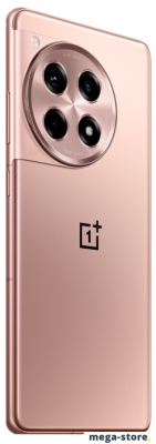 Смартфон OnePlus Ace 3 16GB/512GB китайская версия (бронзовый)