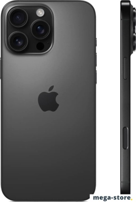 Смартфон Apple iPhone 16 Pro Max 256GB (черный титан)