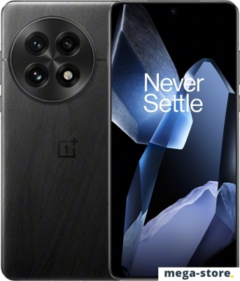 Смартфон OnePlus 13 16GB/512GB международная версия (черный)