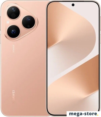 Телефон Huawei Pura 80 HED-LX9 12GB/256GB (золотистый)