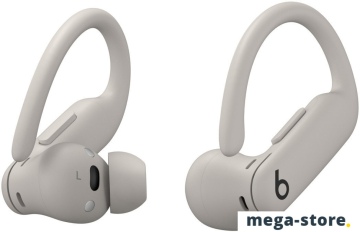 Наушники Beats Powerbeats Pro 2 (серый)