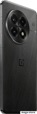 Смартфон OnePlus 13 16GB/512GB международная версия (черный)