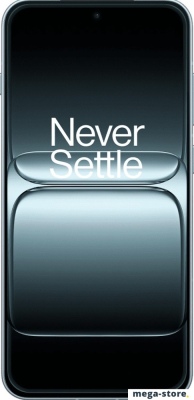 Телефон OnePlus 13T 16GB/256GB китайская версия (белый)