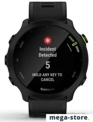 Умные часы Garmin Forerunner 55 (черный)